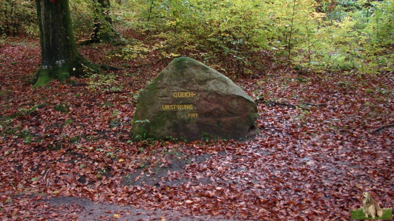 Ritterstein Nr. 214-3 Queich-Ursprung.JPG - Ritterstein Nr.214 Queich - Ursprung